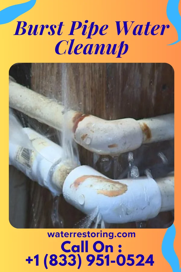 Burst Pipe Water Cleanup in Lowell, NC